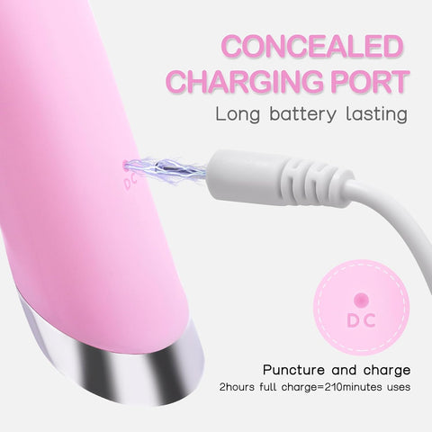 Electric Facial Cleaner